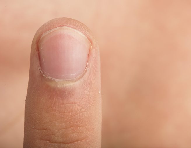 extreme closeup of a male finger detail