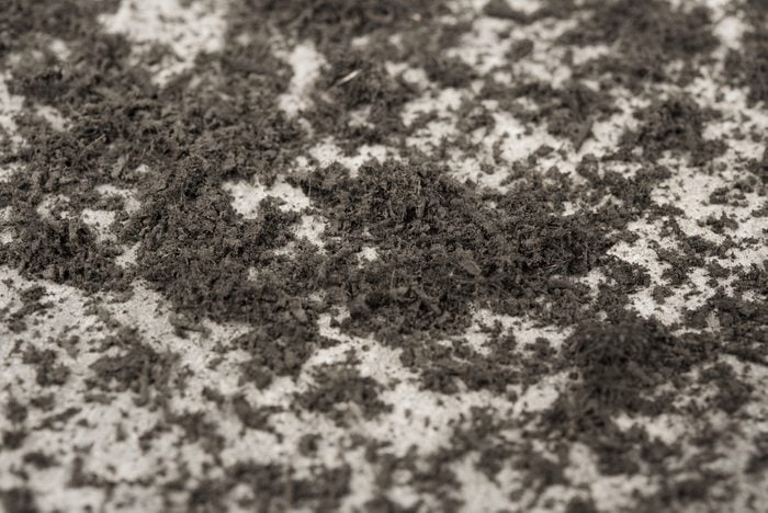 Pile of dust on concrete floor , close up