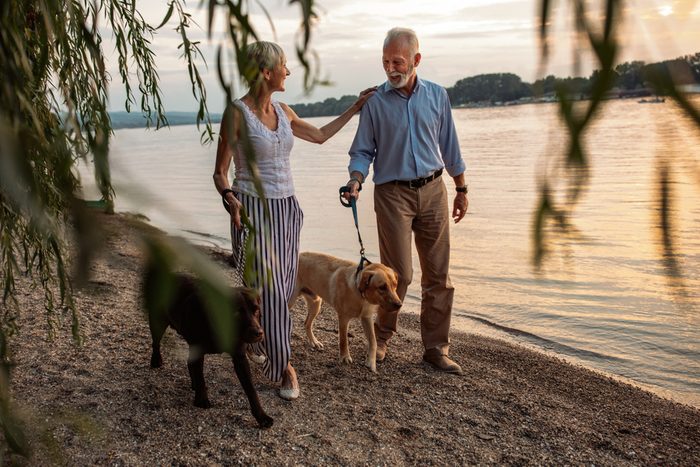 happy senior couple with dogs walking. Romantic ideas
