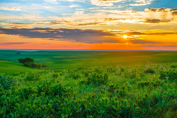Sunset in the Flint Hills of Kansas with Cattle grazing in the far background.