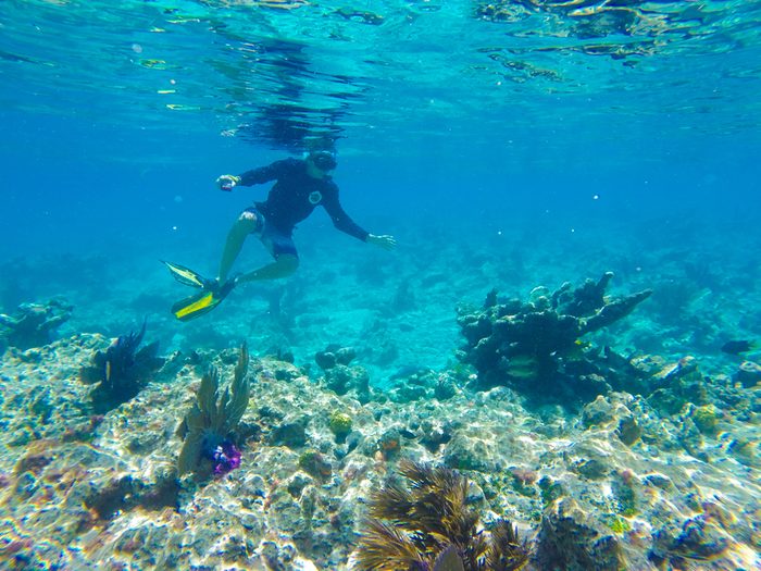 Key West Snorkelling in the Florida Keys Marine Sanctuary