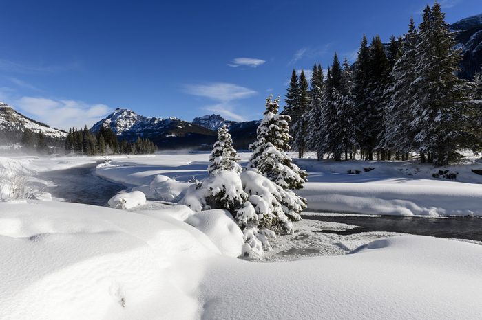 Winter landscape with Lamar river during winter, Lamar valley, Yellowstone national park, Montana, Wyoming, USA.