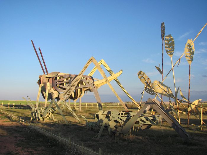 Regent, ND, USA. December, 2015. A 30-mile stretch of road in western North Dakota is dubbed “the Enchanted Highway” due to its eight oversized folk art sculptures, such as this metal grasshopper.