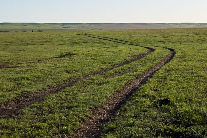 Winding dirt track through farm fields and green pastures in a flat open rural landscape in Kansas USA