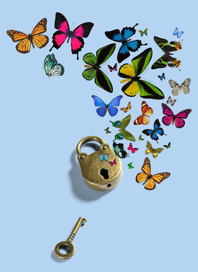 lock and key with butterflies