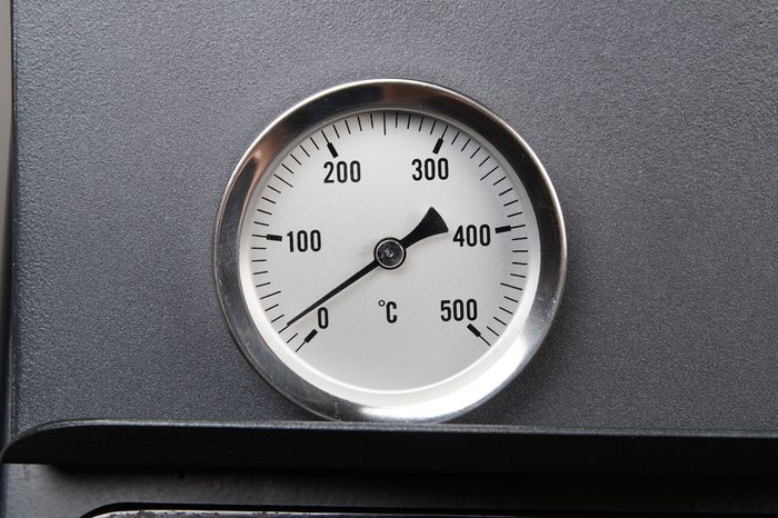 Professional oven thermometer