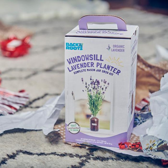 105 Gifts for People Who Are Impossible to Shop For This Christmas (2021) Back to the Roots Organic Lavender Windowsill Planter