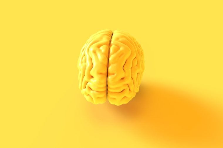 Yellow Human brain Anatomical Model 3d illustration 3d rendering