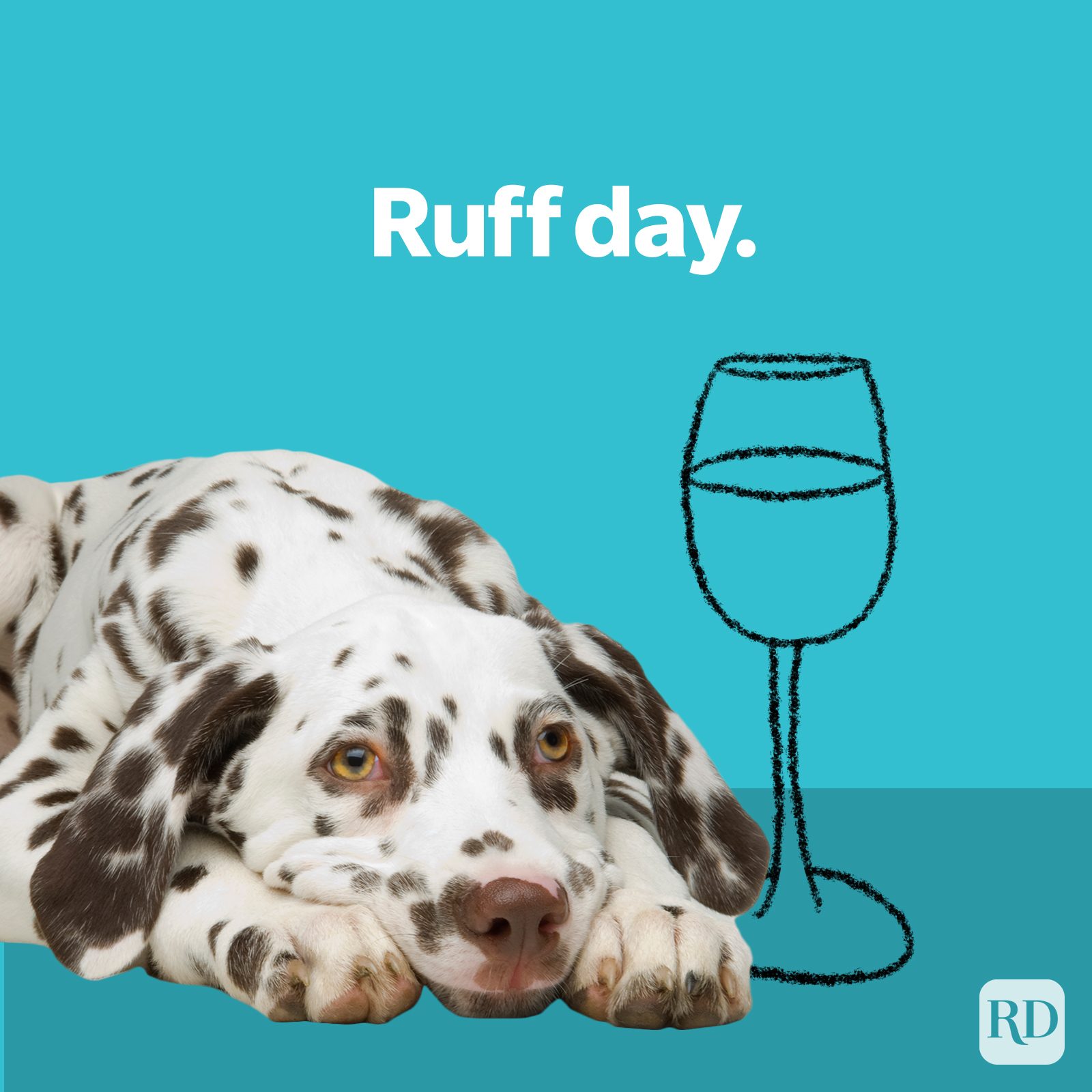 Dog Puns Ruff Day