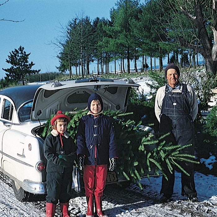 Family posing in front of the Christmas tree loaded into their truck