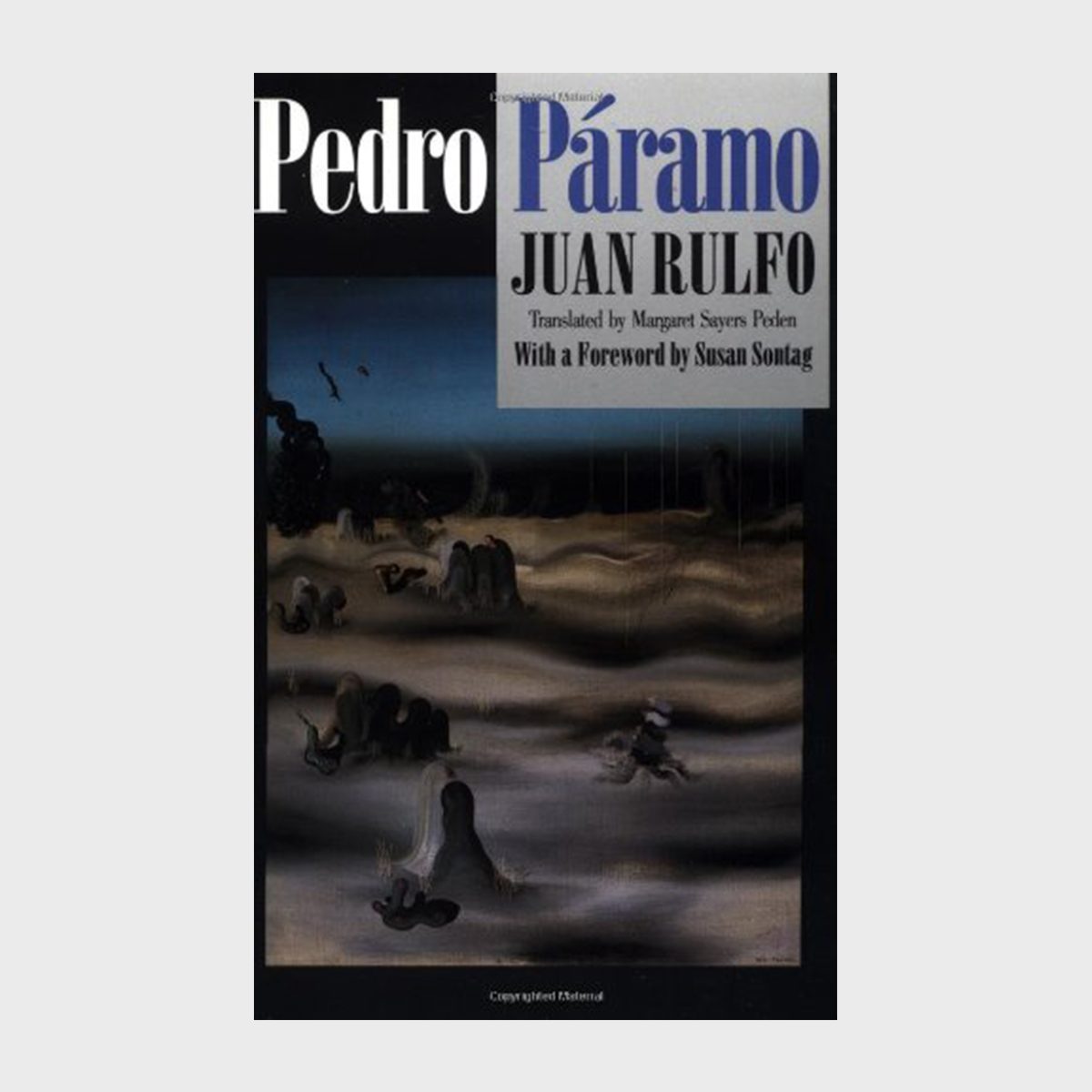 Pedro Paramo Book