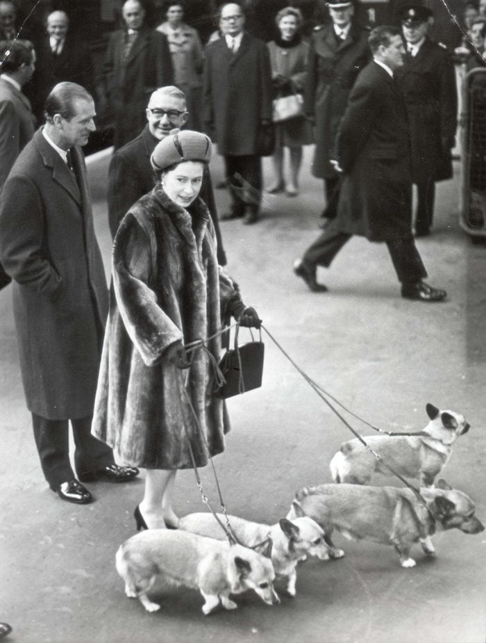 Queen Elizabeth. Dogs. Picture Shows The Queen Arrives Back At Liverpool Street With Her Corgis.