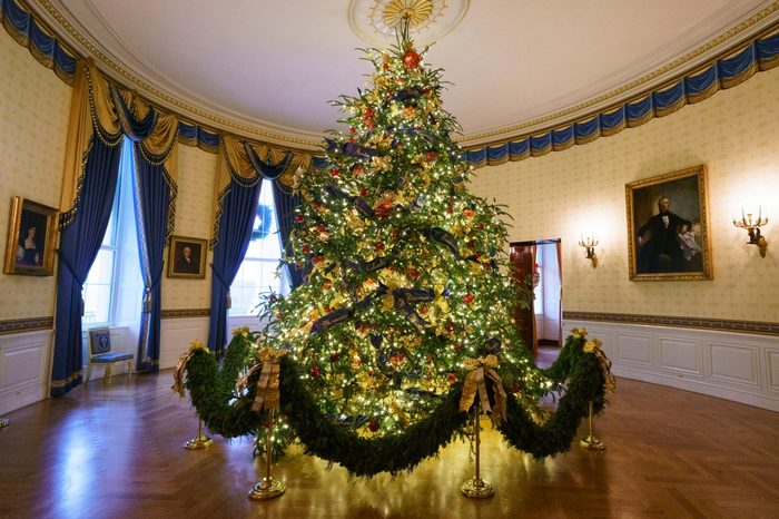 blue room christmas tree white house