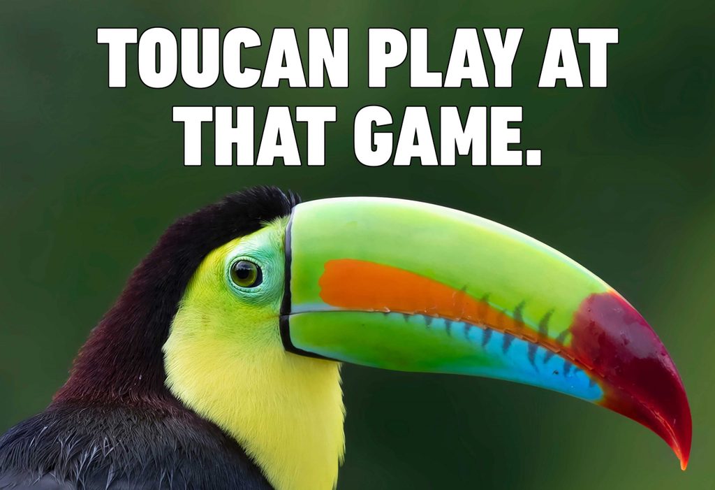 [Image: 01-toucan-bird-puns-shutterstock_1189561...e=1024,701]