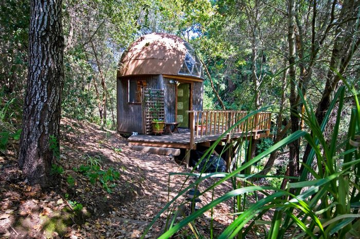 Mushroom Dome Cabin: #1 on airbnb in the world