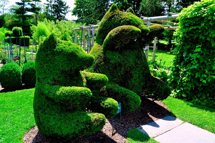  Green animals topiary garden at a hidden gem in Rhode Island