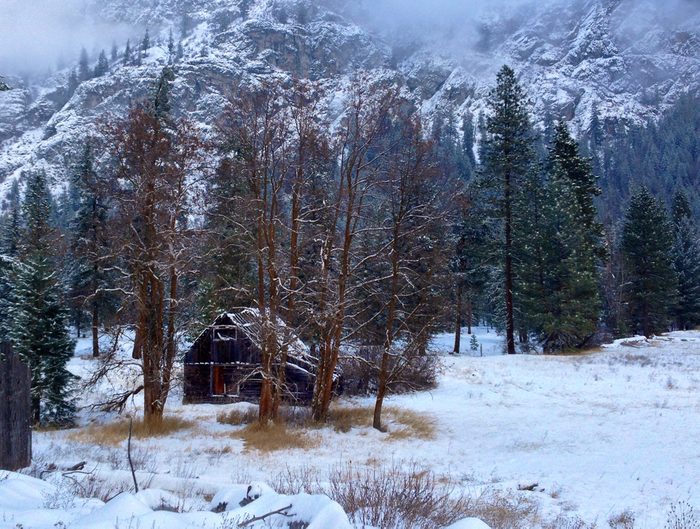 Small cabin in the woods, Methow Valley, WA.