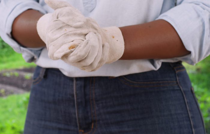 Close up of black woman's hands as she puts on gardening gloves