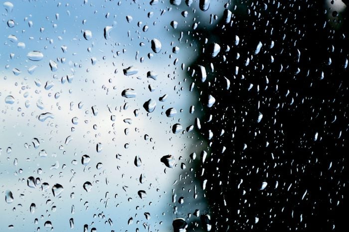 Facts You Never Knew About Rain