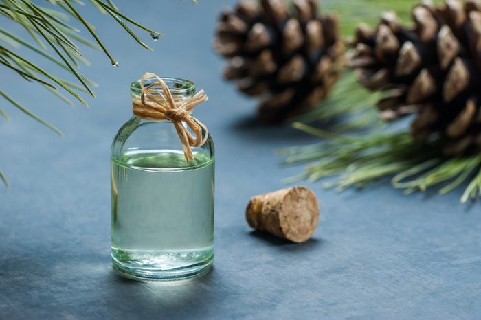 Pine turpentine essential oil in glass bottle with pine coniferous leaves and pine cone on wooden table. Kiefer turpentin