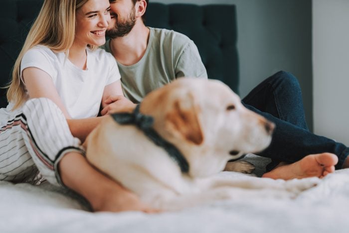 Positive loving couple sitting in their bed while resting with their dog