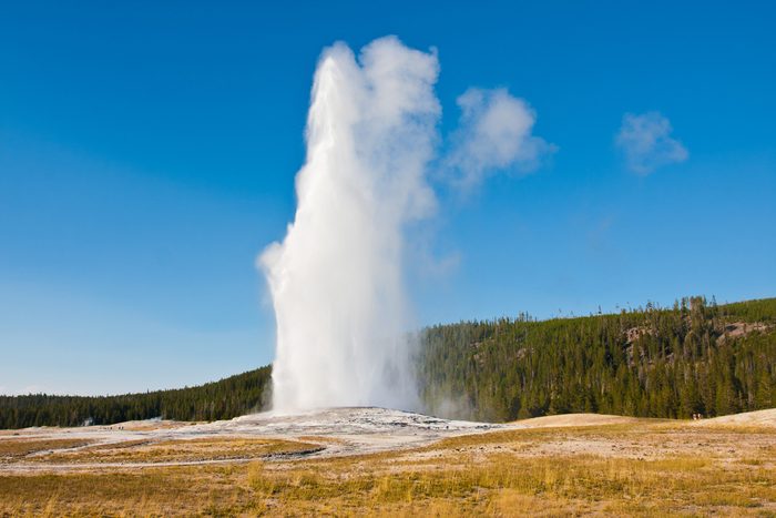 Eruption of Old Faithful geyser at Yellowstone National Park