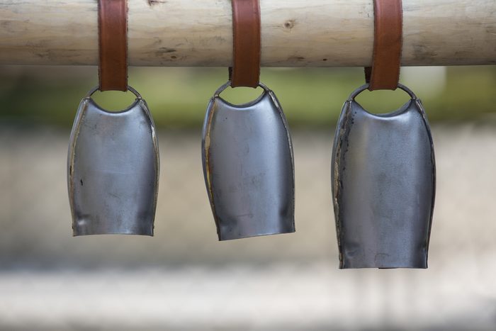 Detail of three metal sheep bells hanging on the wooden stick