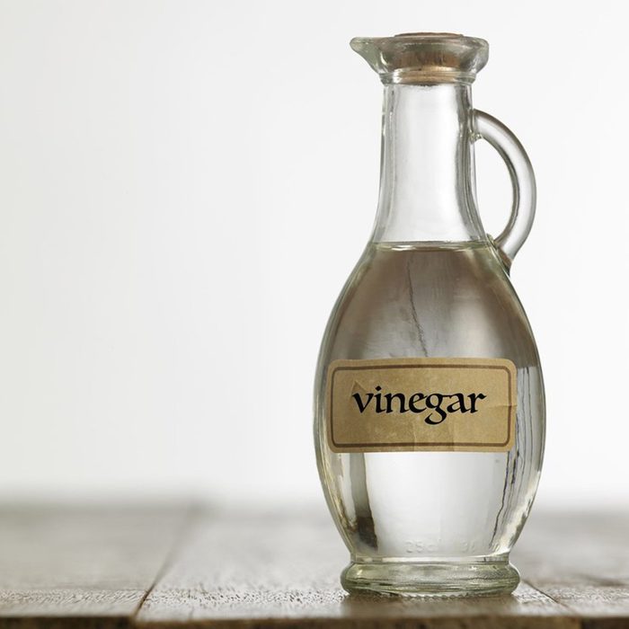 white vinegar for pest control