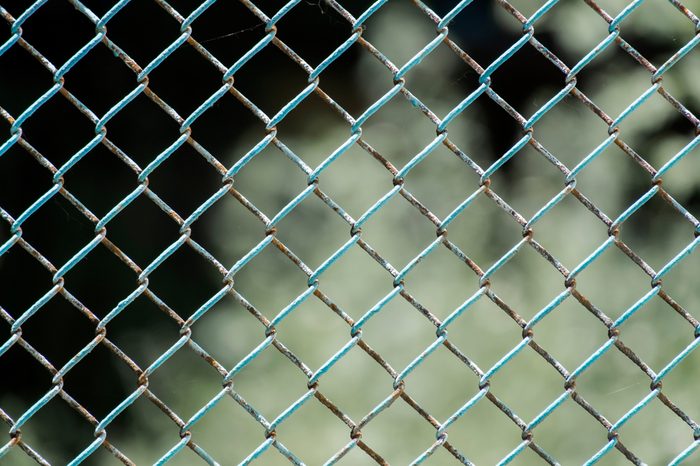 Chain-wire fence. Fence made of steel wire mesh. In places, the rusted wire mesh steel with shabby paint