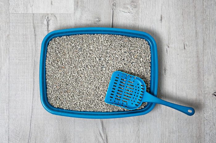 Litter tray and scoop for cat on floor, top view. Pet care