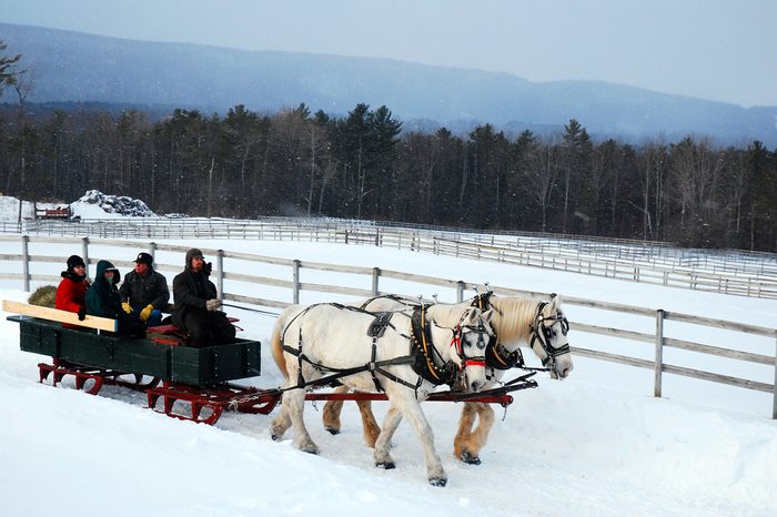Stockbridge, MA, USA March 28 A horse drawn sleigh tours the country side during a snow fall in Stockbridge, Massachusetts