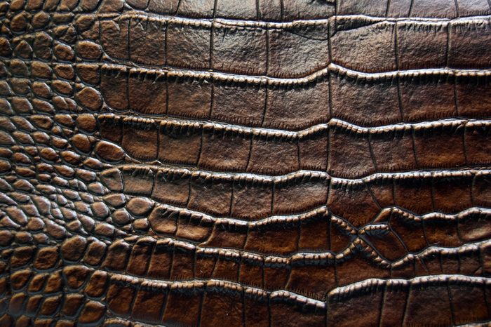 luxury brown crocodile leather texture
