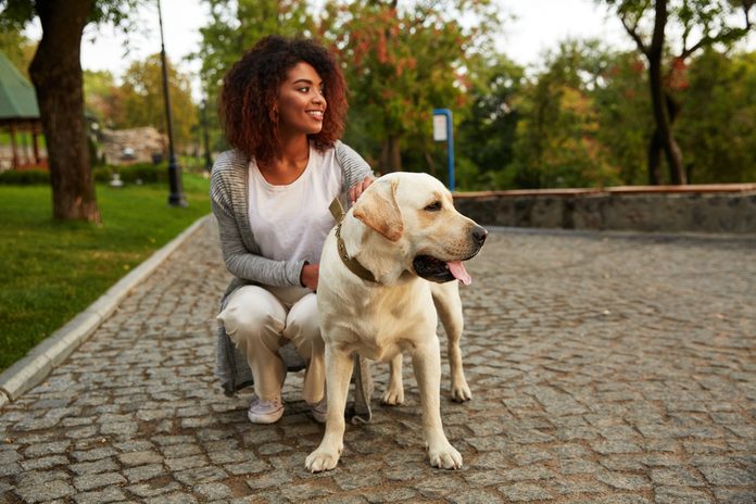 Young smiling african lady in casual clothes iron and hugging dog while sitting in park