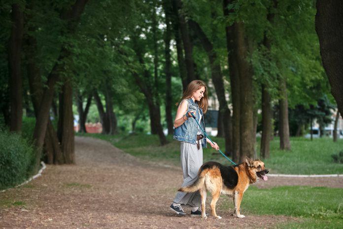 walk in the park with a dog
