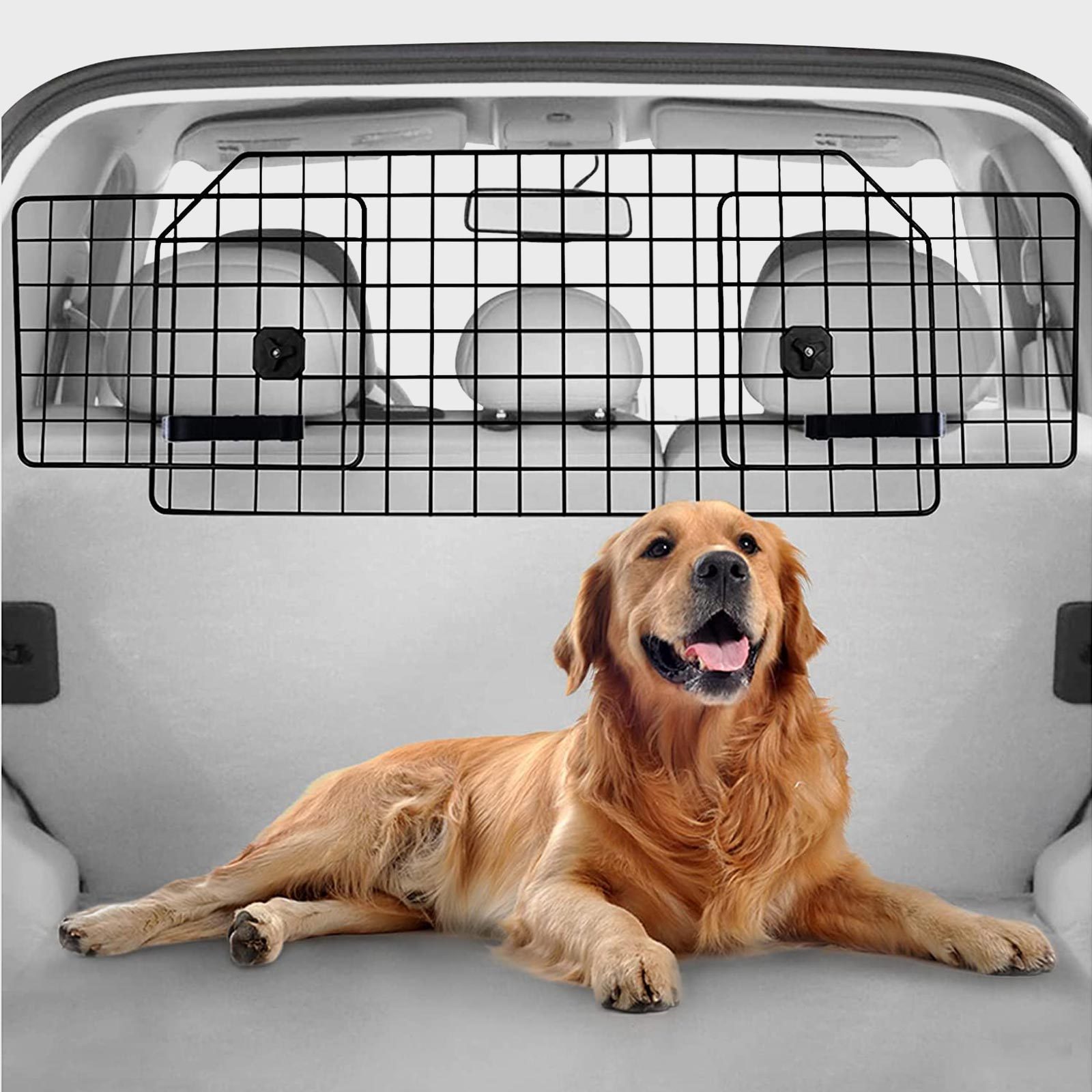 Dog car barrier