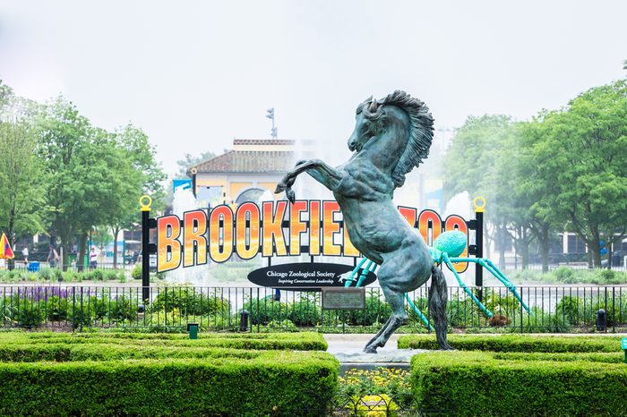 BROOKFIELD, IL - JUNE 10, 2018: Brookfield Zoo opened its doors in 1934 and currently houses around 450 animals.