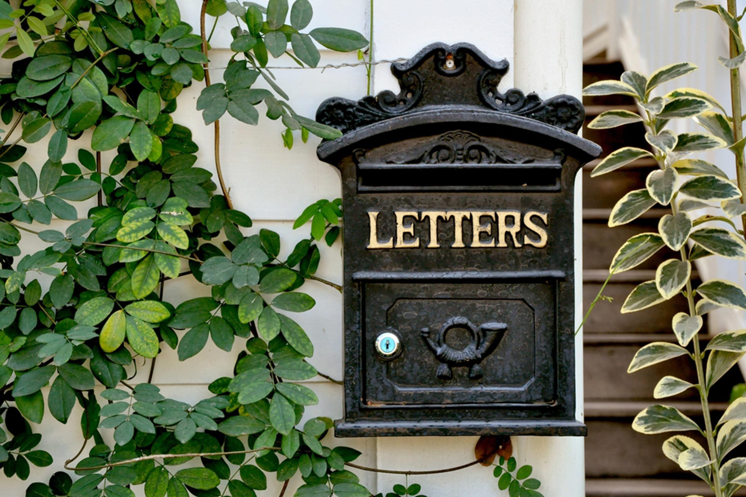 letters mailbox plants