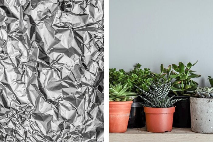 Aluminum foil texture next to indoor plants