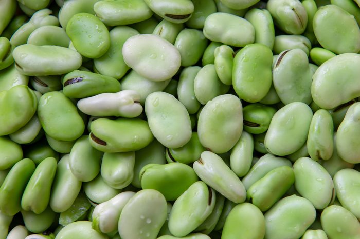 fresh broad bean