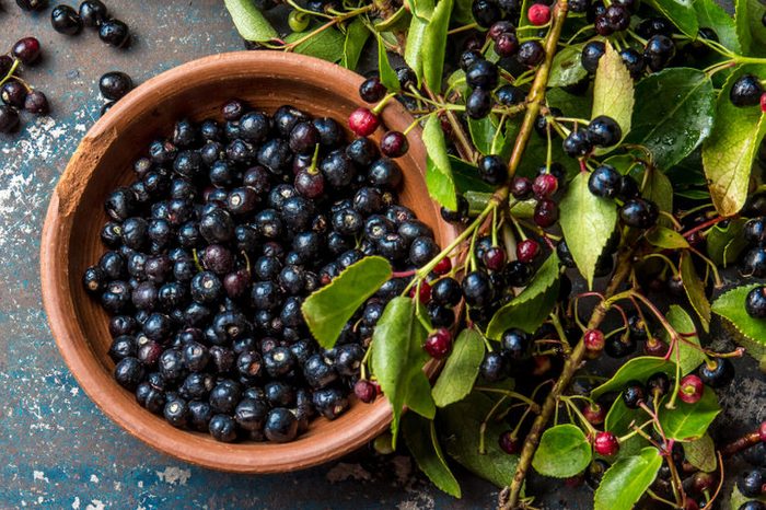 Superfood MAQUI BERRY. Superfoods antioxidant of indian mapuche, Chile. Bowl of fresh maqui berry and maqui berry tree branch on metal background, top view