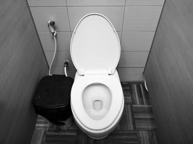 Flushing the toilet in black and white