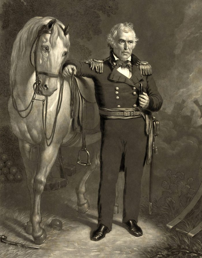 VARIOUS President Zachary Taylor. Taylor was the 12th President of the United States. Before his presidency, Taylor was a career officer in the United States Army, rising to the rank of major general.