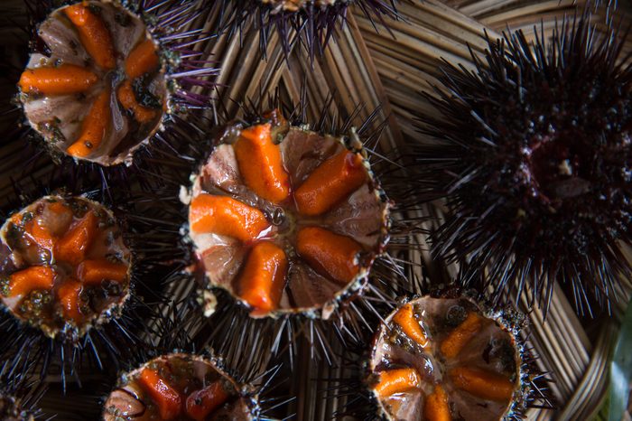 Fresh sea urchins from south of Italy, Puglia region