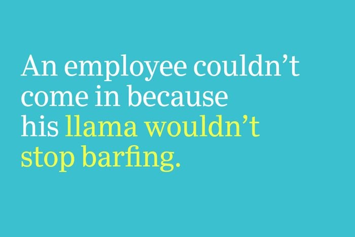 llama wouldn't stop barfing