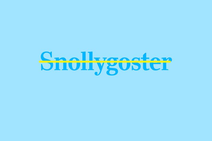 snollygoster