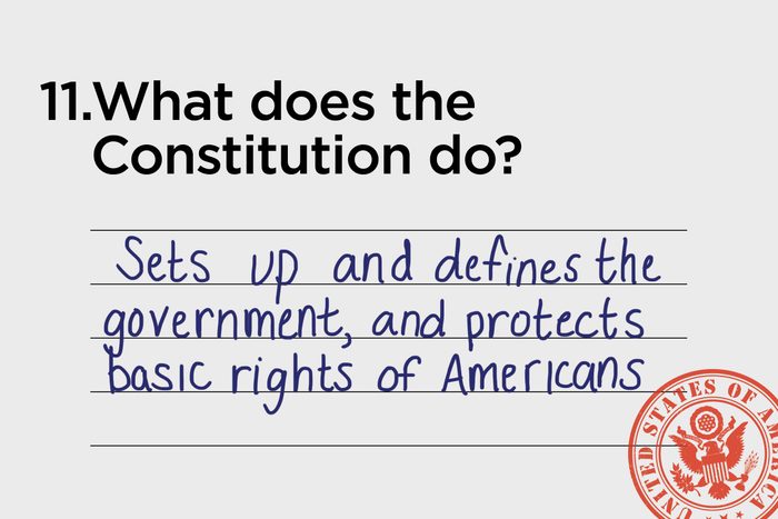 sets up and defines the government and protects the basic rights of americans