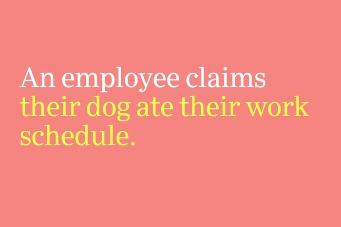 their dog ate their work schedule