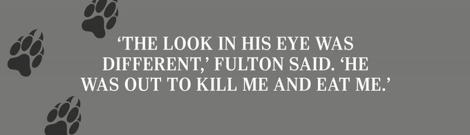 ‘The look in his eye was different,’ Fulton said. ‘He was out to kill me and eat me.’