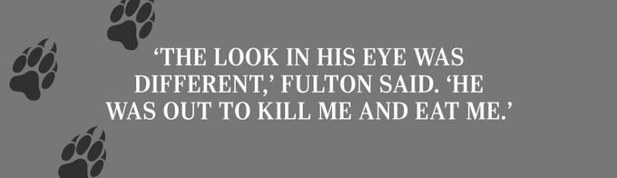 ‘The look in his eye was different,’ Fulton said. ‘He was out to kill me and eat me.’