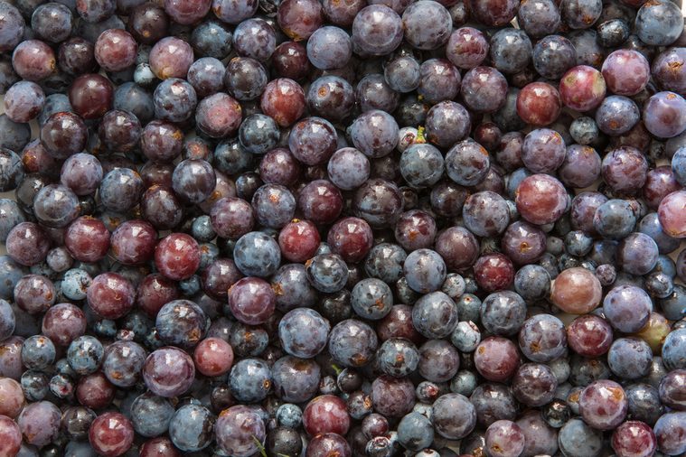 Concord Grapes Background